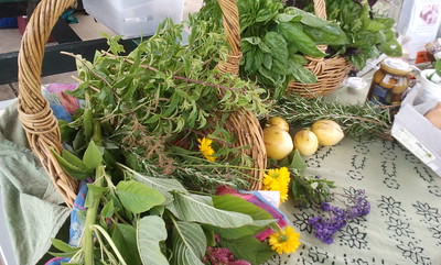 Photo of baskets of fresh herbs, flowers and potatoes.