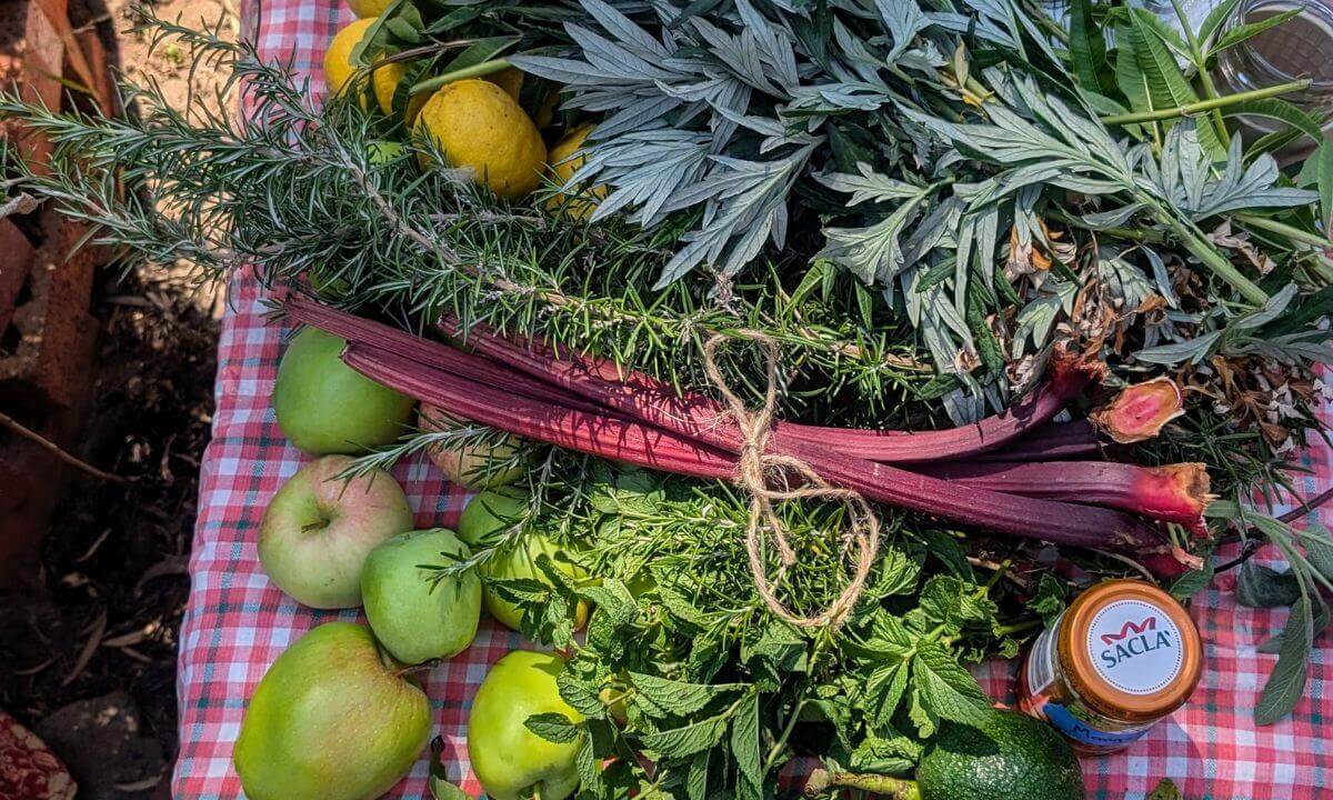 Image of greens apples, rhubarb stalks tied with string, and leafy green herbs. They're siting on a red and white checked table cloth.